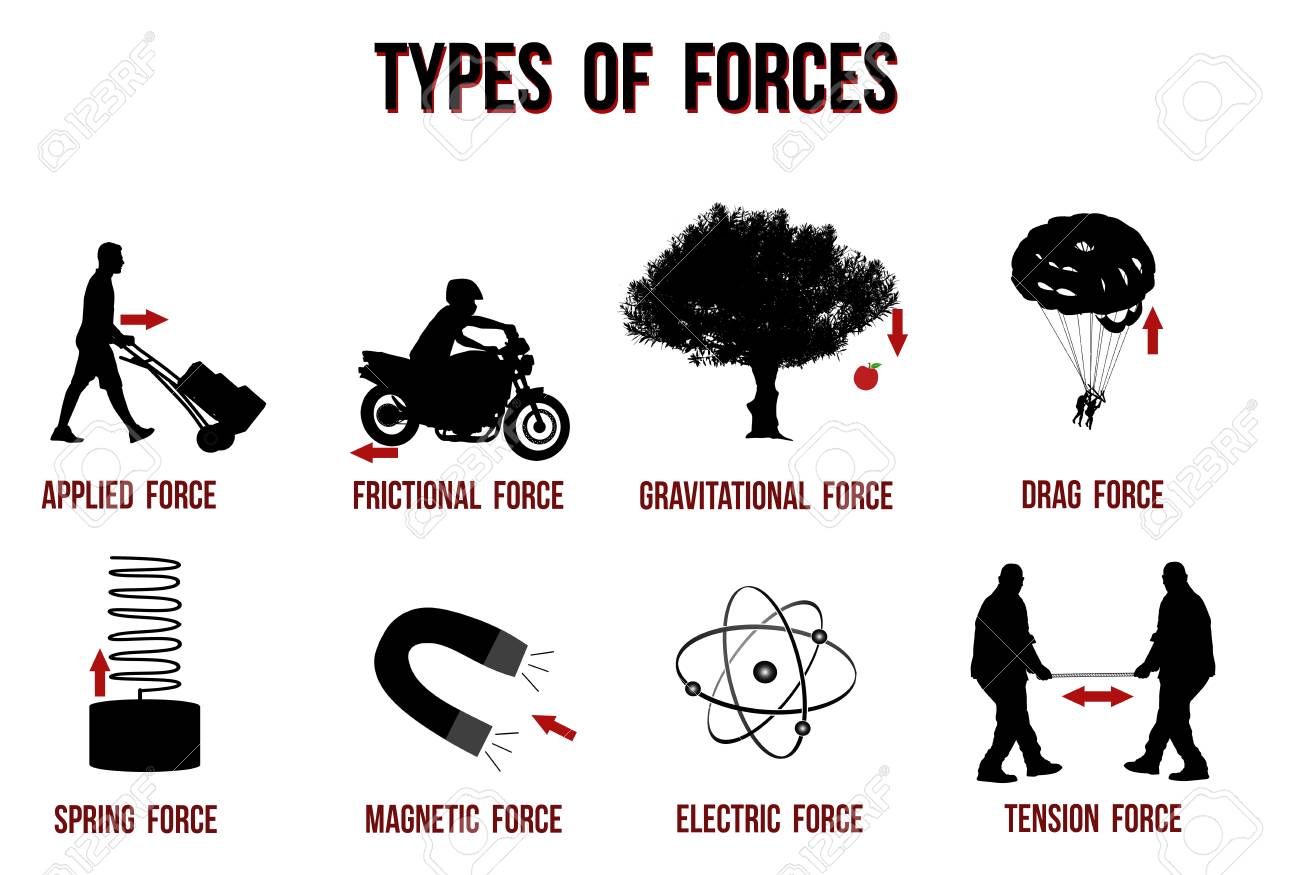 Types of forces chart, vector illustration ( for basic education and Schools ) - 124853433 Types of forces chart, vector illustration ( for basic education and Schools ) - 124853433