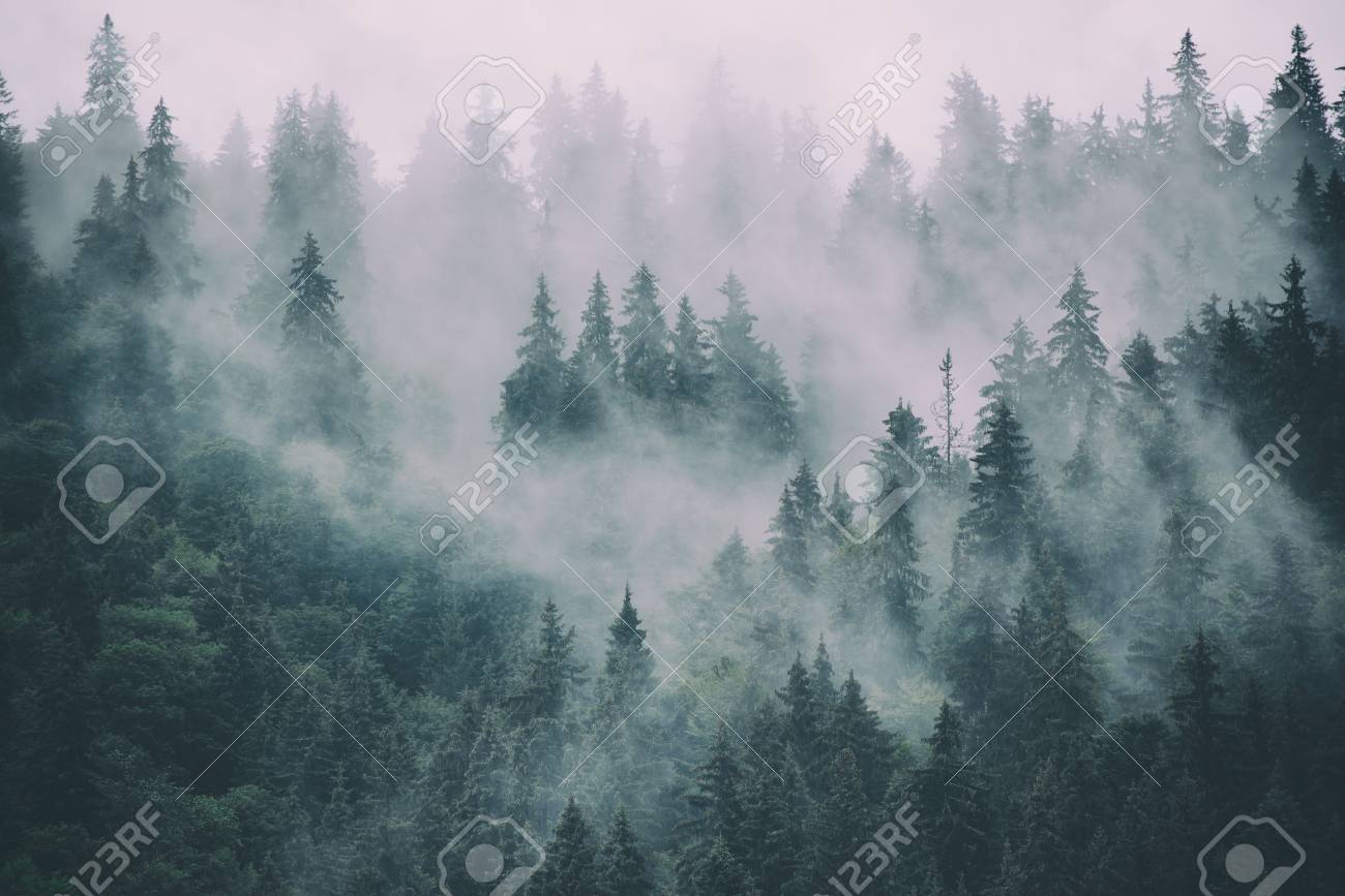 Misty Mountain Landscape Stock Photo Picture And Royalty Free Image Image 89628859