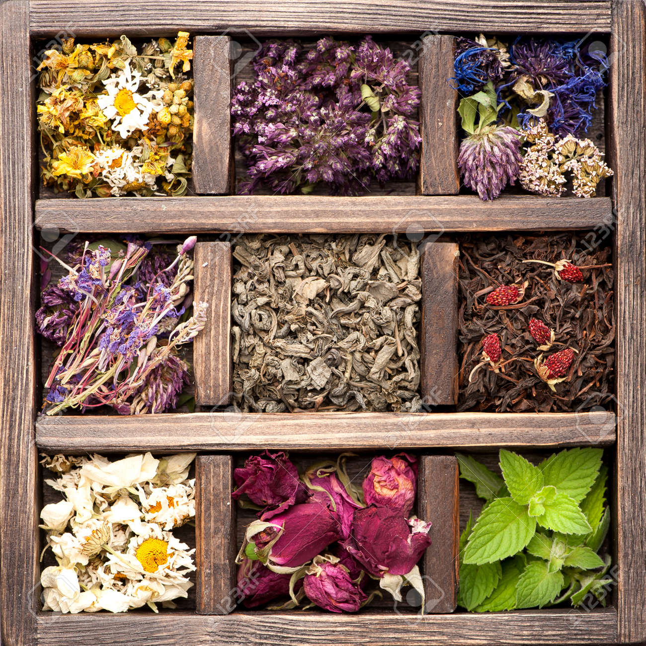 Dried Herbs and flowers in vintage box. Collage. - 32489578 Dried Herbs and flowers in vintage box. Collage. - 32489578