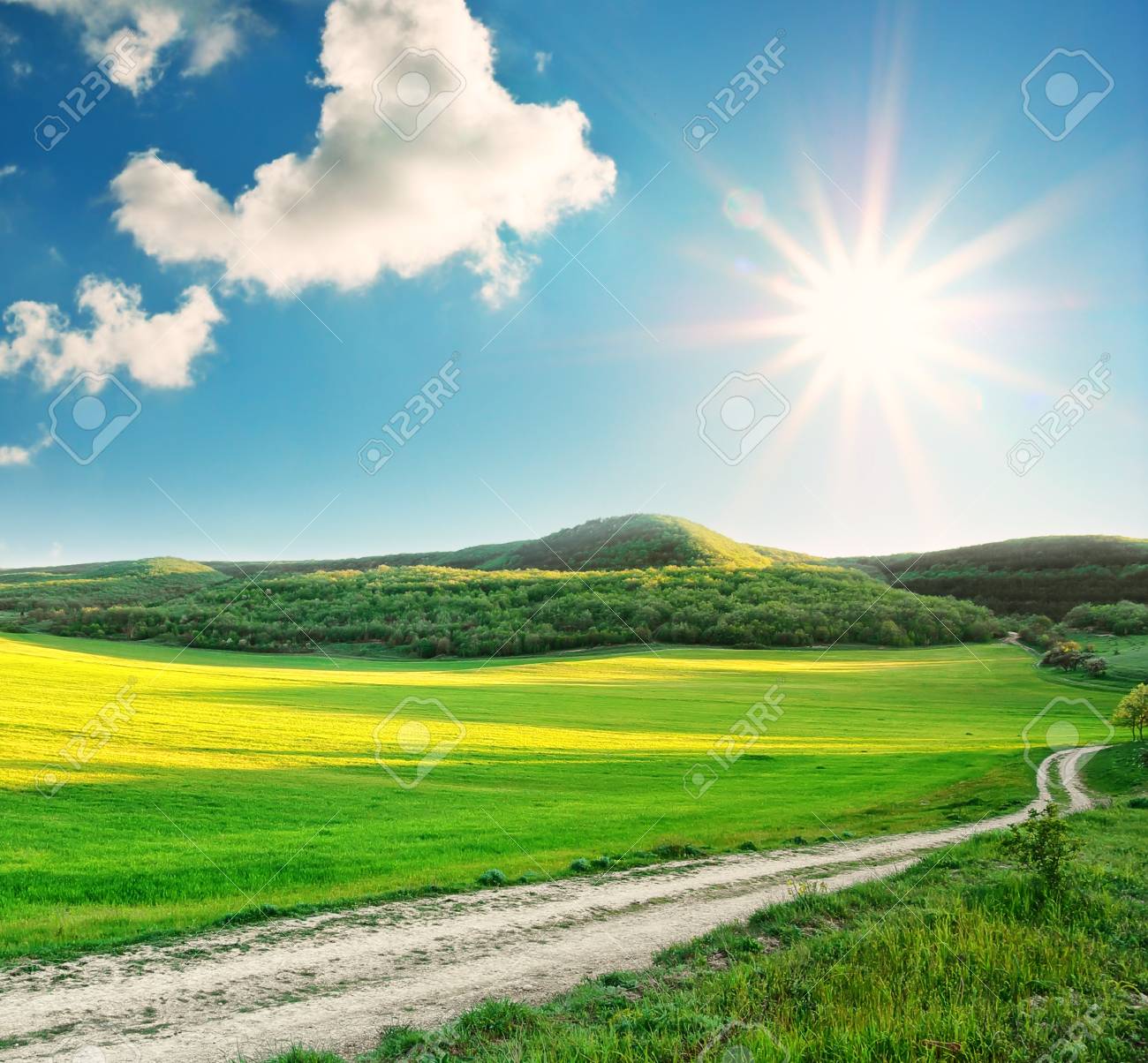 Sunny landscape best sale