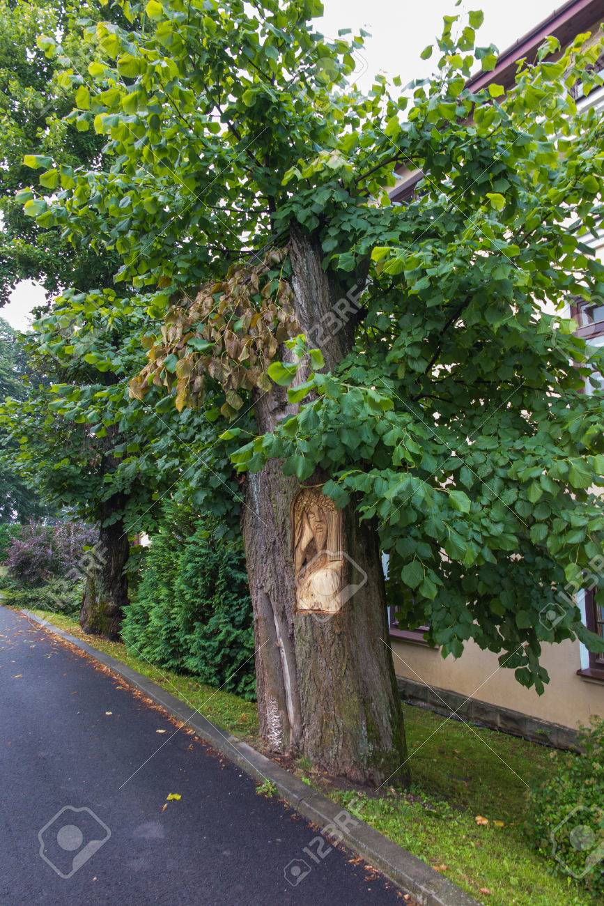 道路で壊れた菩提樹の木の幹に刻まれたキリストの顔 の写真素材 画像素材 Image 道路で壊れた菩提樹の木の幹に刻まれたキリストの顔 の写真素材 画像素材 Image