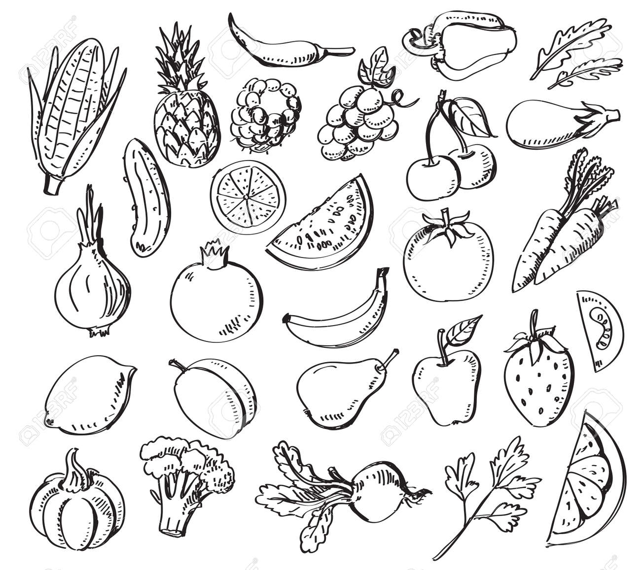 Hand Gezeichnet Obst Und Gemuse Lizenzfrei Nutzbare Vektorgrafiken Clip Arts Illustrationen Image