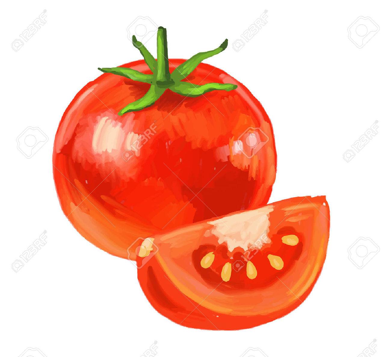 Picture Of Tomato Royalty Free Cliparts Vectors And Stock Illustration Image