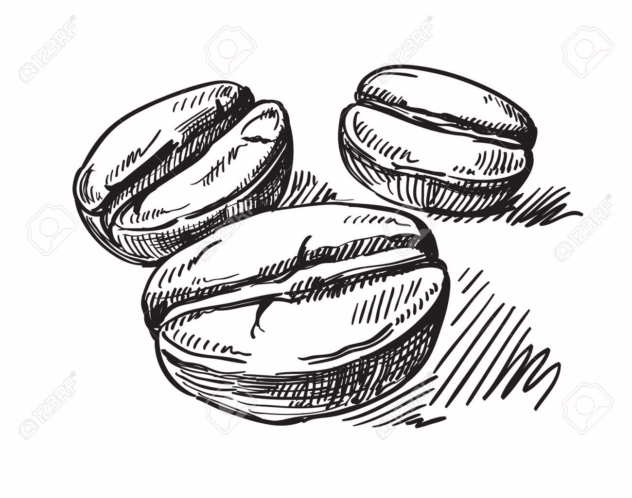 Vector Black Coffee Beans On White Background Royalty Free Cliparts Vector Black Coffee Beans On White Background Royalty Free Cliparts
