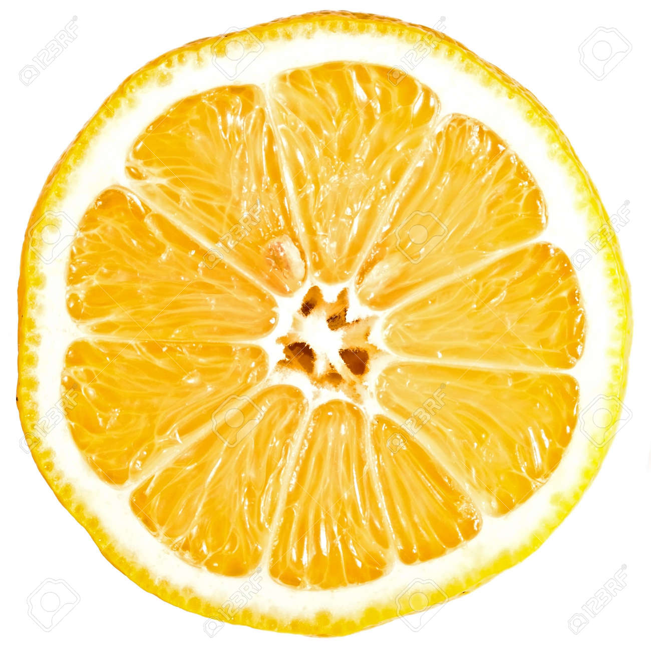Lemon Cross Section Isolated On White Stock Photo Picture And Royalty Free Image Image
