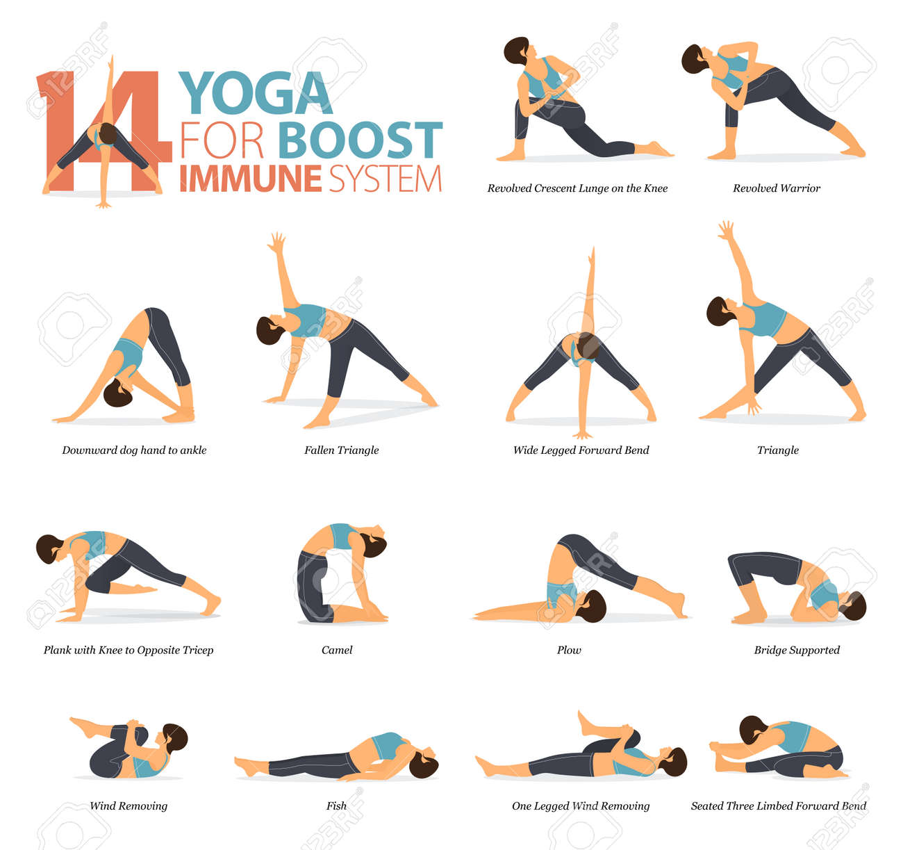 Infographic of 14 Yoga poses for workout at home in concept of yoga for boost immune system in flat design. Woman exercising for body stretching. Yoga posture or asana for fitness infographic. Flat Cartoon Vector Illustration. - 150334010 Infographic of 14 Yoga poses for workout at home in concept of yoga for boost immune system in flat design. Woman exercising for body stretching. Yoga posture or asana for fitness infographic. Flat Cartoon Vector Illustration. - 150334010