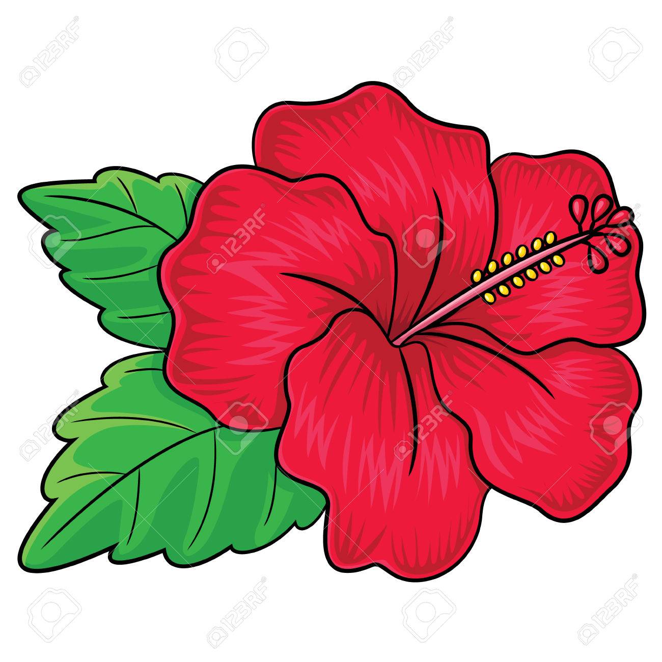 Ilustración De Dibujos Animados Lindo De La Flor De Hibisco. Ilustraciones Svg, Vectoriales, Clip Art Vectorizado Libre De Derechos. Image 49428775. Ilustración De Dibujos Animados Lindo De La Flor De Hibisco. Ilustraciones Svg, Vectoriales, Clip Art Vectorizado Libre De Derechos. Image 49428775.