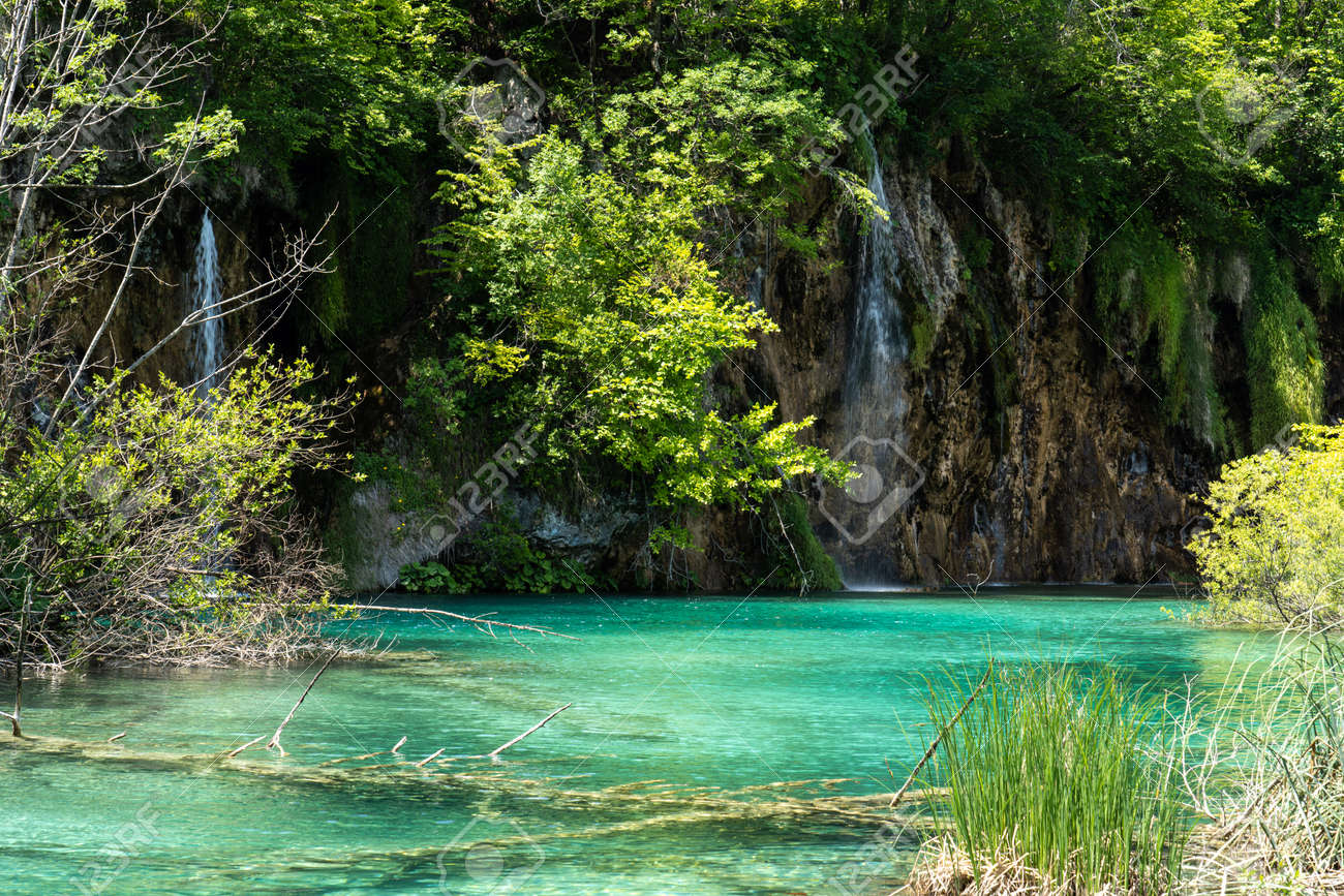 Beautiful landscape in the Plitvice Lakes National Park in Croatia. One of the oldest and largest national parks in Croatia. In 1979 it was added to the register - 155507881 Beautiful landscape in the Plitvice Lakes National Park in Croatia. One of the oldest and largest national parks in Croatia. In 1979 it was added to the register - 155507881