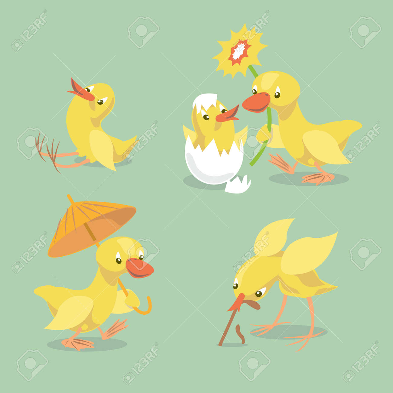Petit Poussin Couve Des Ufs Petit Poulet Assis Sur Le Sol Caneton Jaune Est Livre Avec Un Parapluie Canard Felicite Le Poulet Cinque Joyeux Anniversaire Vector Illustration Clip Art Libres De Droits