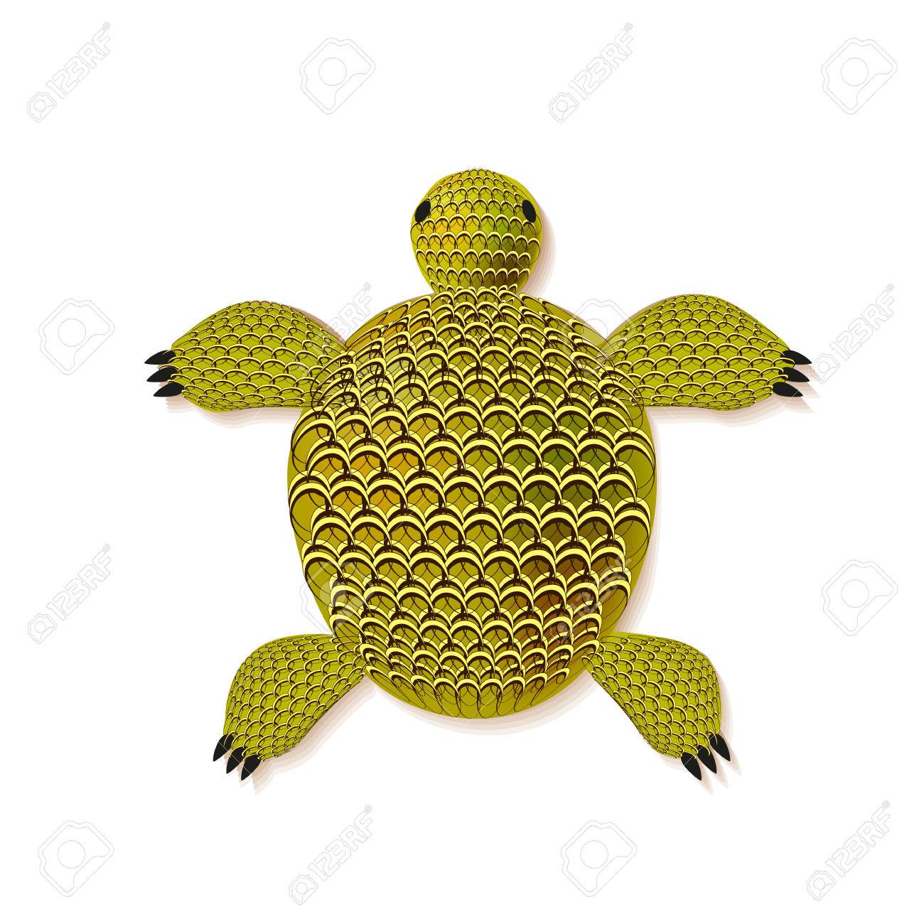 sea turtle template barca fontanacountryinn com turtle diagram template free