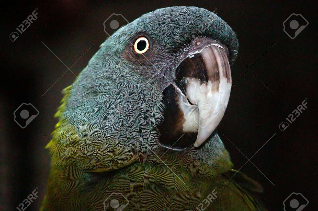 etiam-dictum-ipsum-a-felis