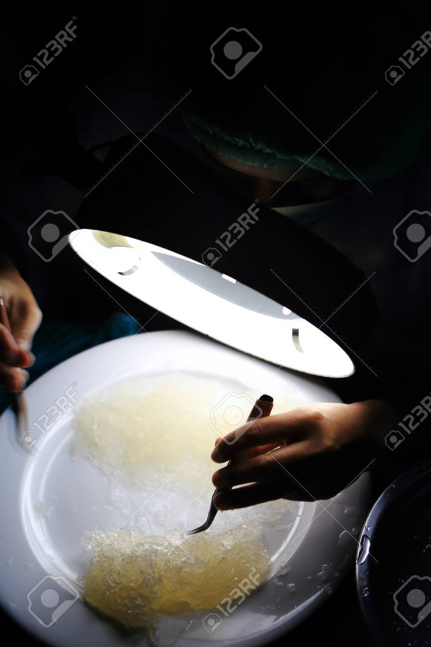 販売のための鳥の巣 鳥の巣スープは豊かな中国語の繊細さ それは巣を成っています の写真素材 画像素材 Image