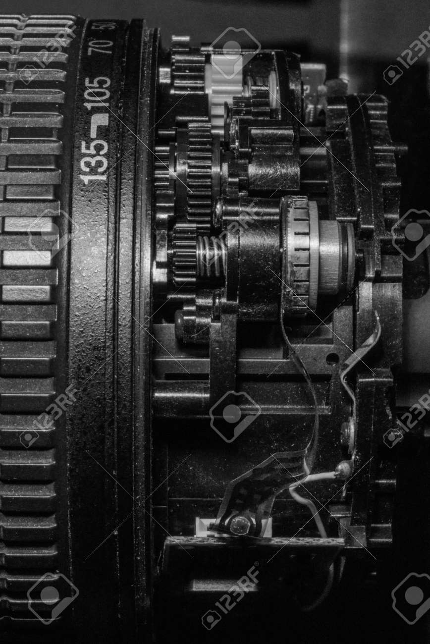 etiam-dictum-ipsum-a-felis