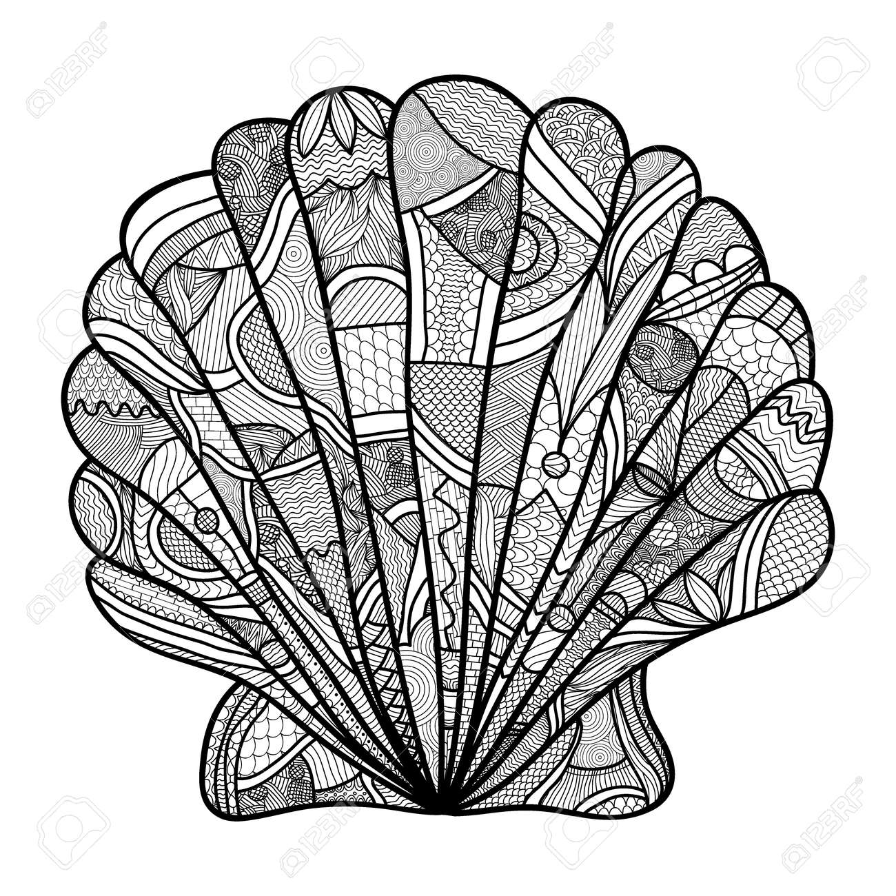 Seashell Hand drawn shell anti stress coloring page for adult with high details isolated