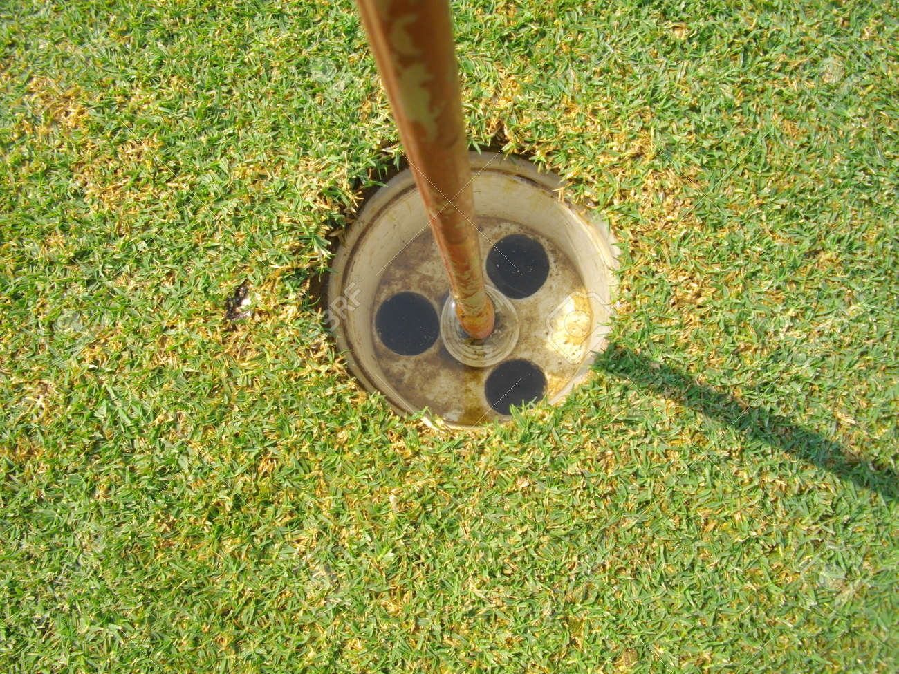 etiam-dictum-ipsum-a-felis