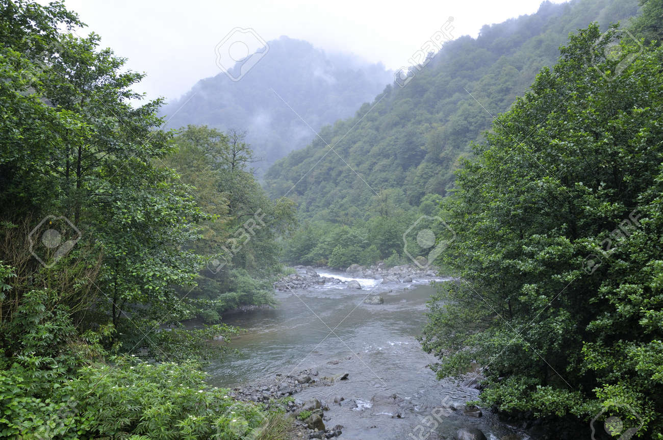 風景画 山と川のアート 大きめ