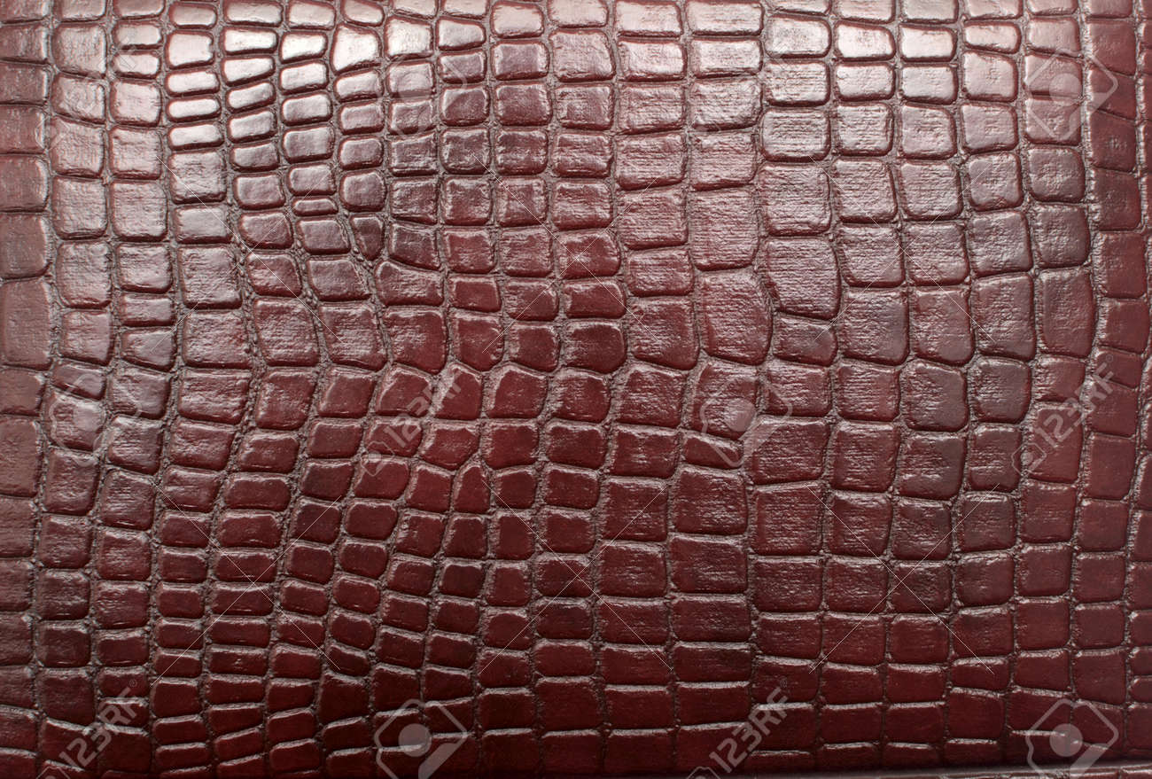 dog weekend backpack