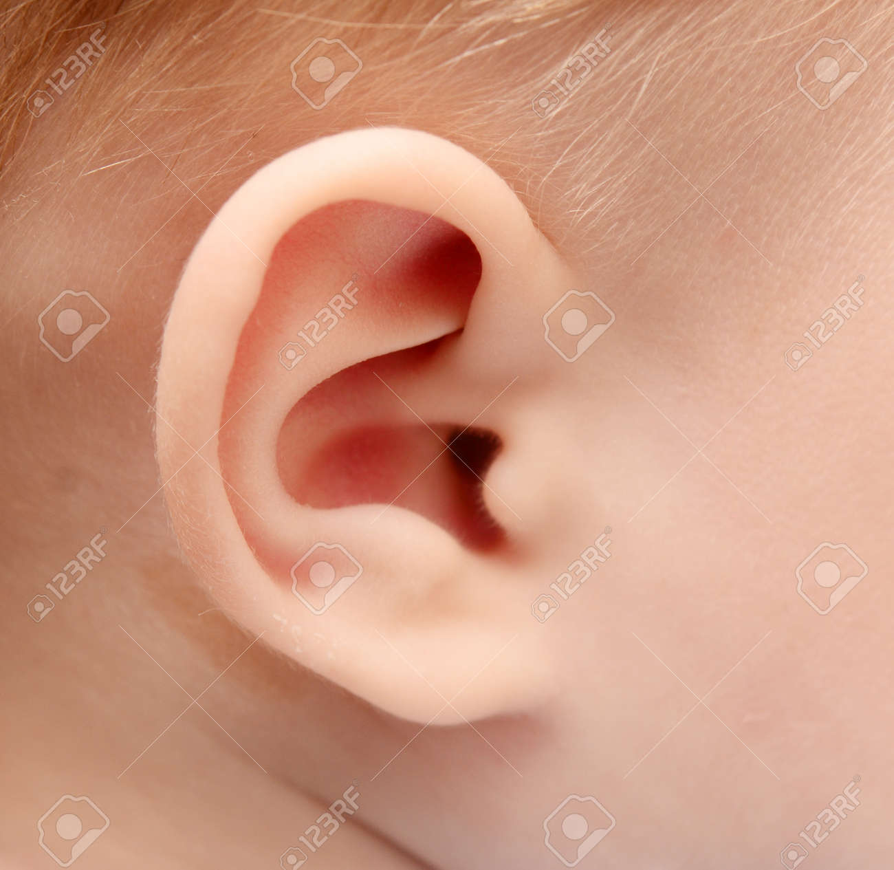 Pres De L Oreille De Bebe Banque D Images Et Photos Libres De Droits Image Pres De L Oreille De Bebe Banque D Images Et Photos Libres De Droits Image