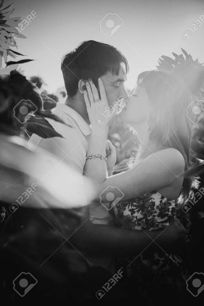 Black white photography romantic couple standing and kissing on background summer meadow sunflower sunset stock photo