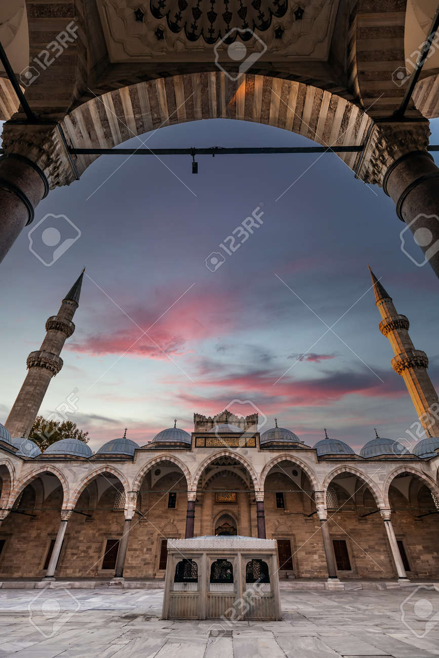 etiam-dictum-ipsum-a-felis