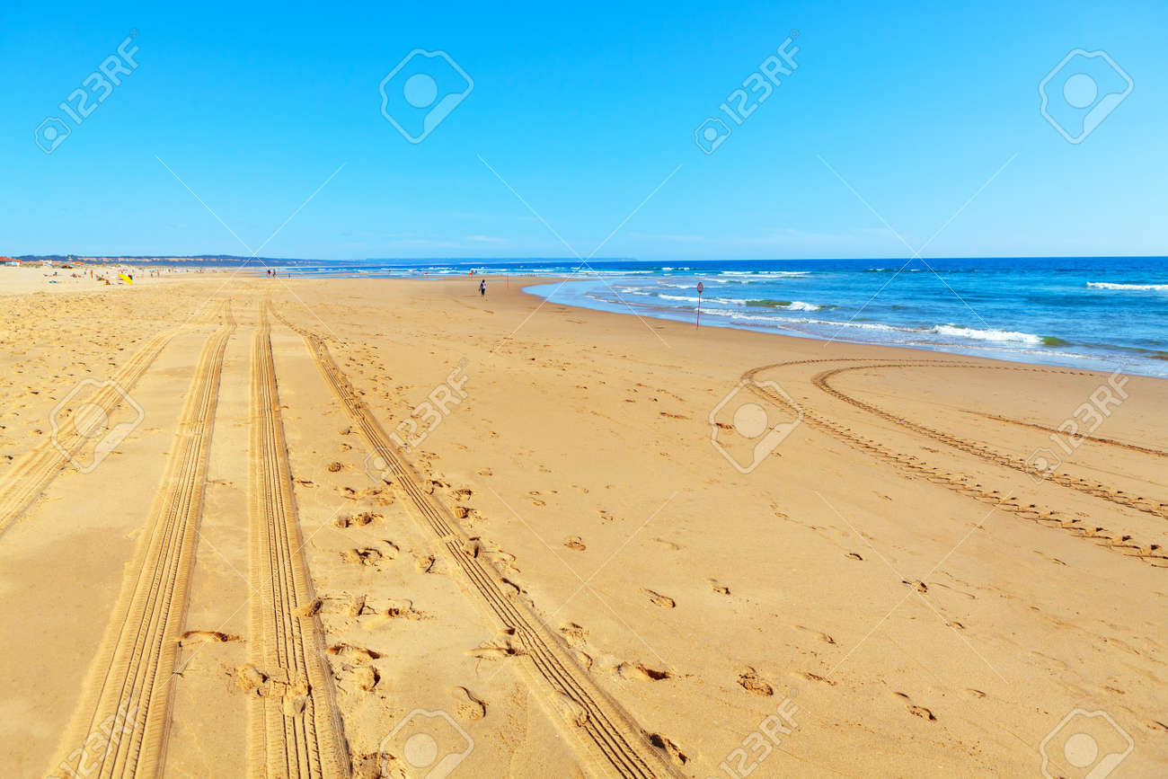 Atlantic Ocean Coastline in the Summer Day . Tractor prints on the sandy beach - 170092644 Atlantic Ocean Coastline in the Summer Day . Tractor prints on the sandy beach - 170092644