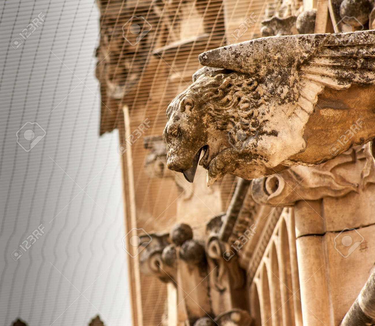 etiam-dictum-ipsum-a-felis