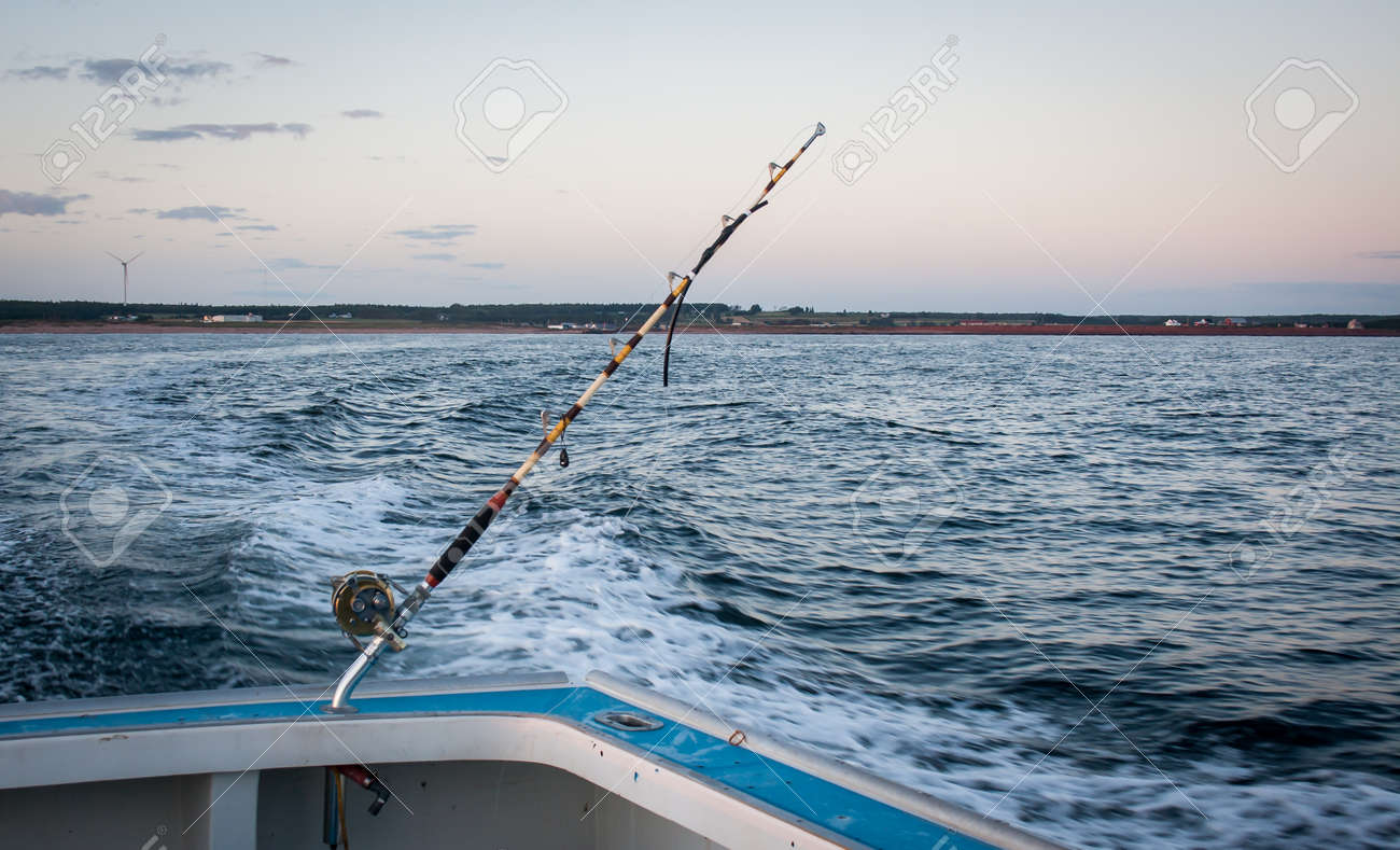 Tuna Fishing Rod And Reel Stock Photo, Picture and Royalty Free Image.  Image 51733052.