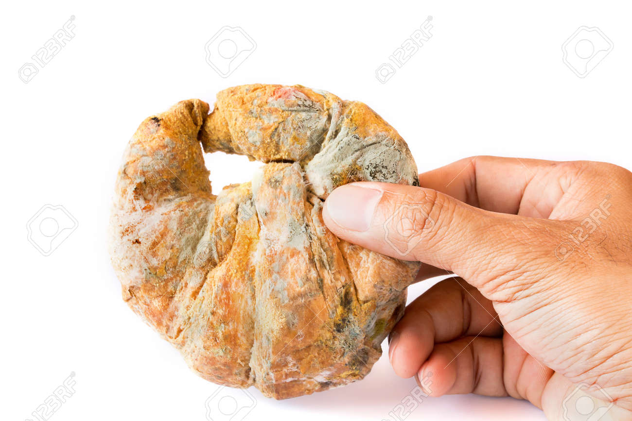 52980259-growing-rapidly-on-moldy-bread-in-green-and-white-spores-in-hand-on-white-background.jpg