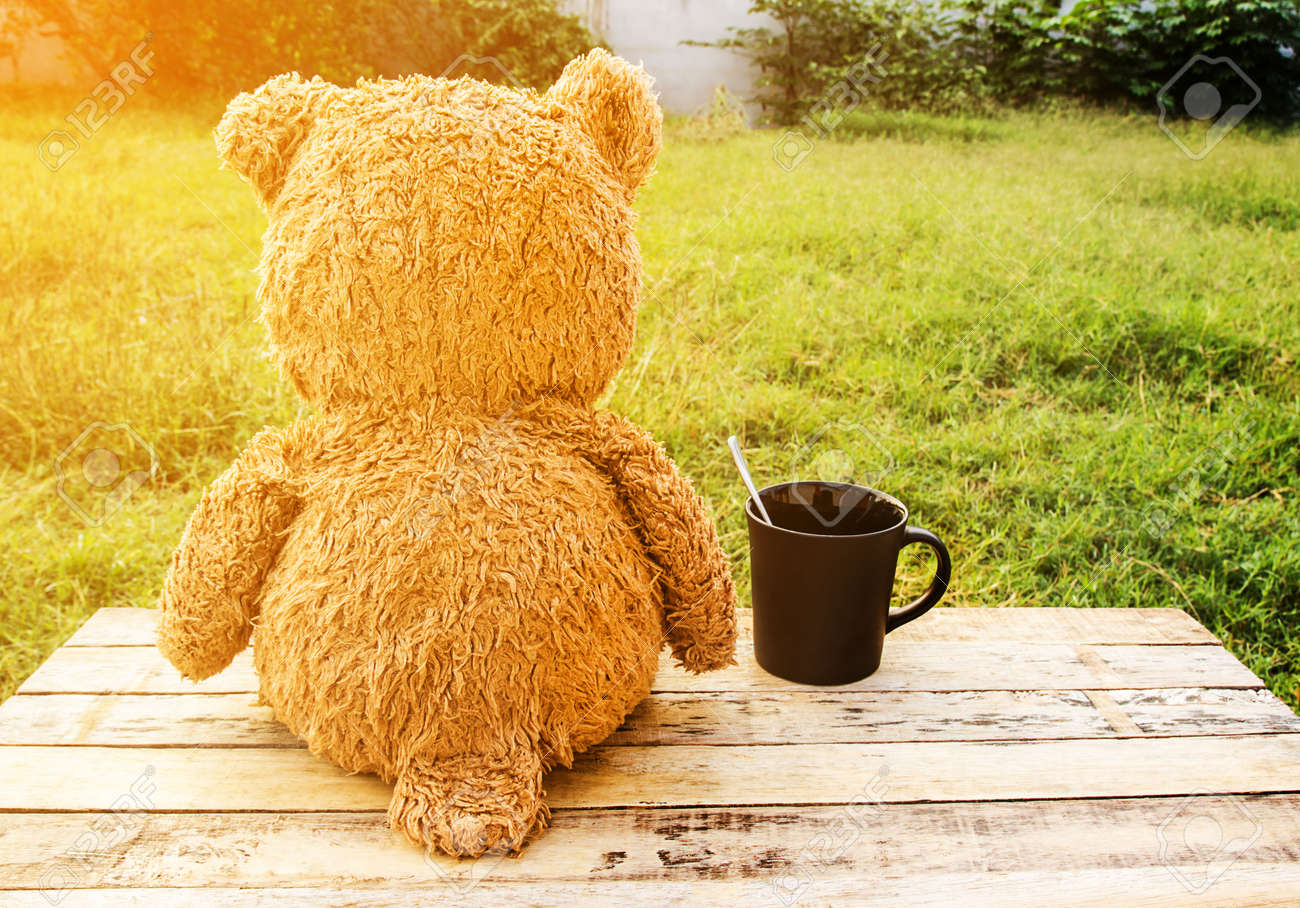 Soleil ours en peluche Clearance