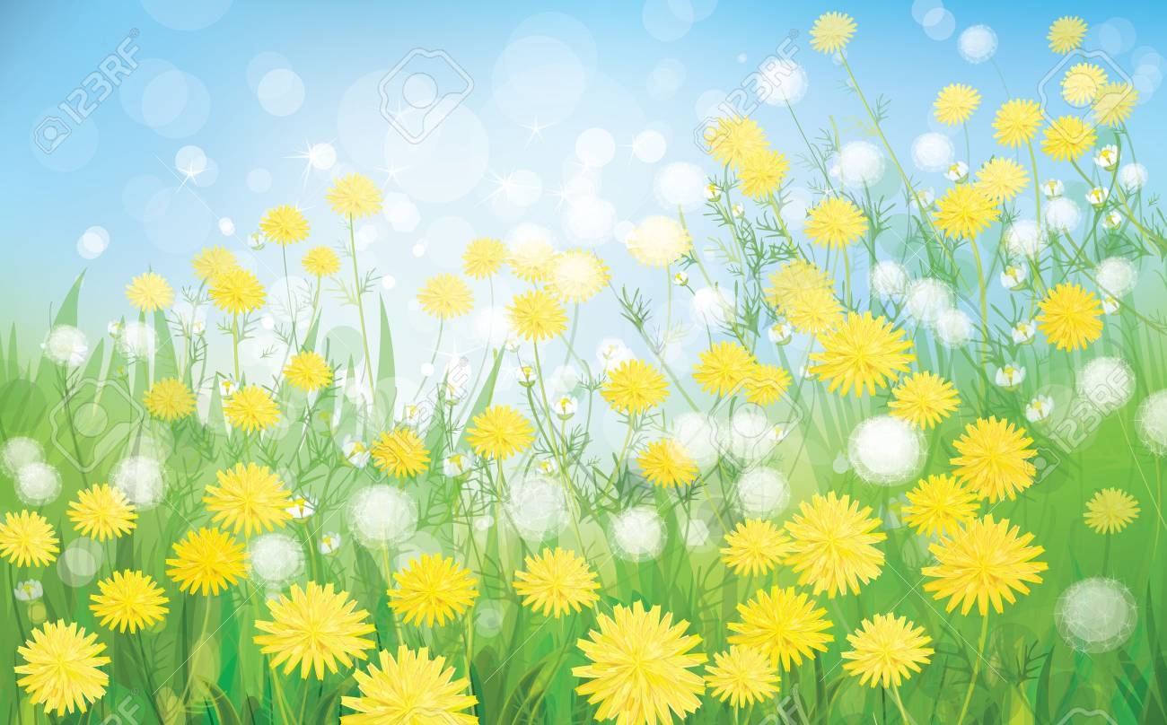 Vector Of Spring Background With White Dandelions Royalty Free Cliparts Vectors And Stock Illustration Image Vector Of Spring Background With White Dandelions Royalty Free Cliparts Vectors And Stock Illustration Image