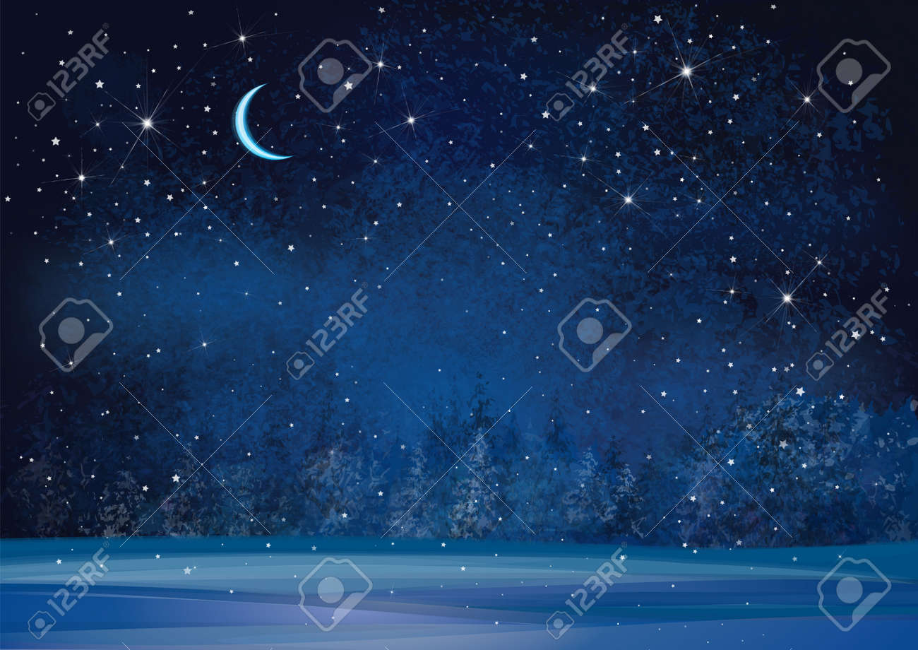 vector winter wonderland night