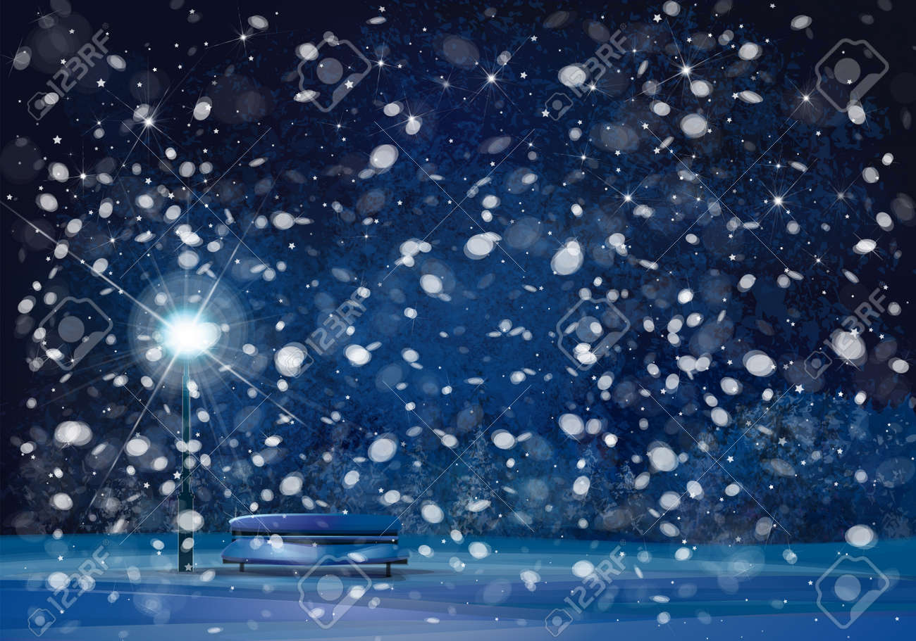vector winter wonderland night