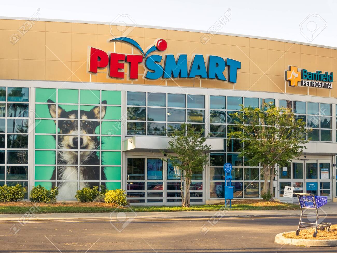 petsmart near me banfield pet hospital