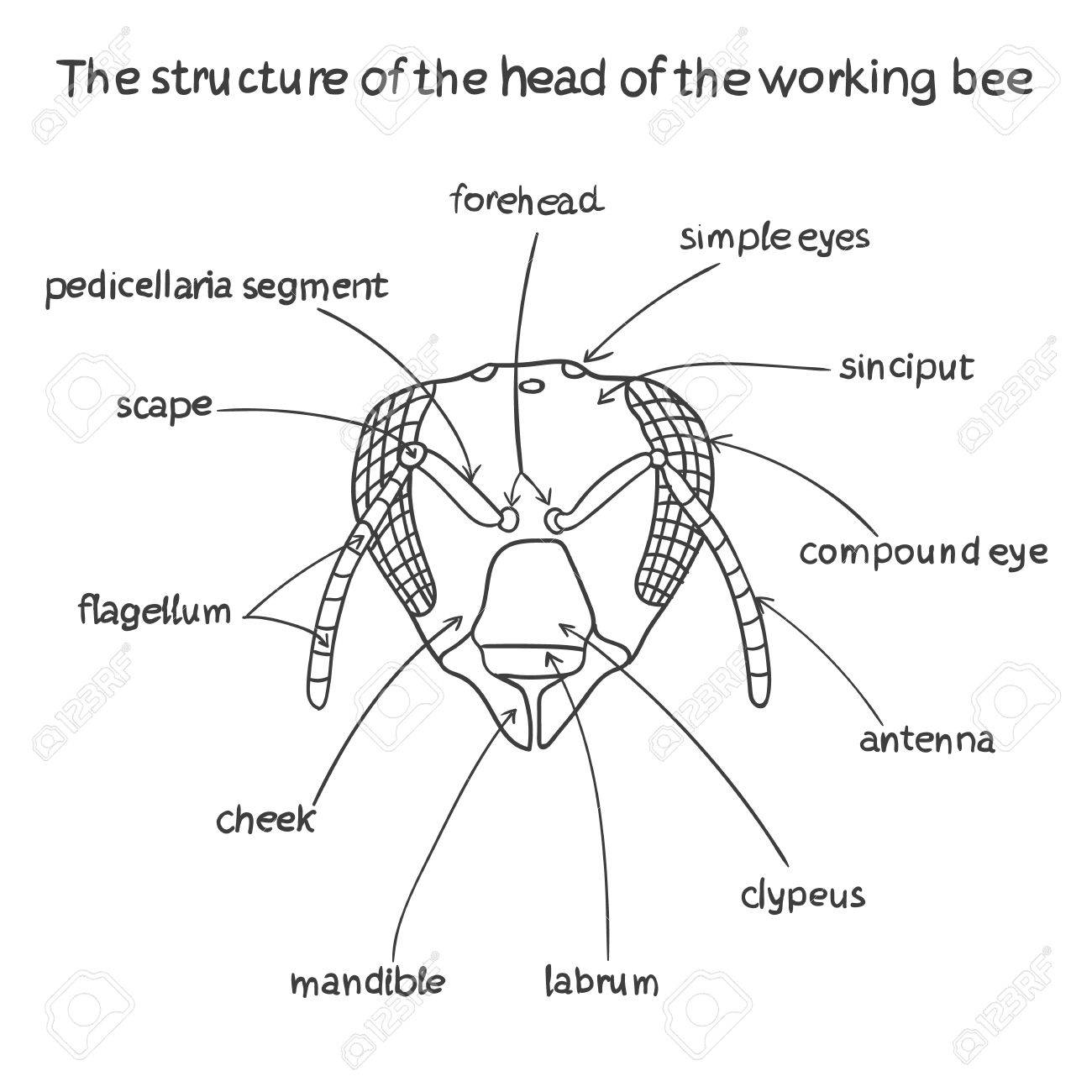 Related image