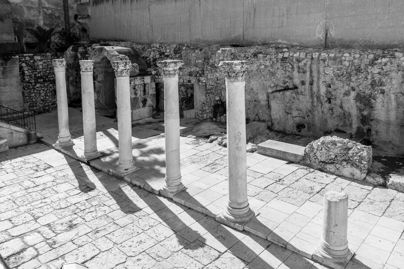 etiam-dictum-ipsum-a-felis