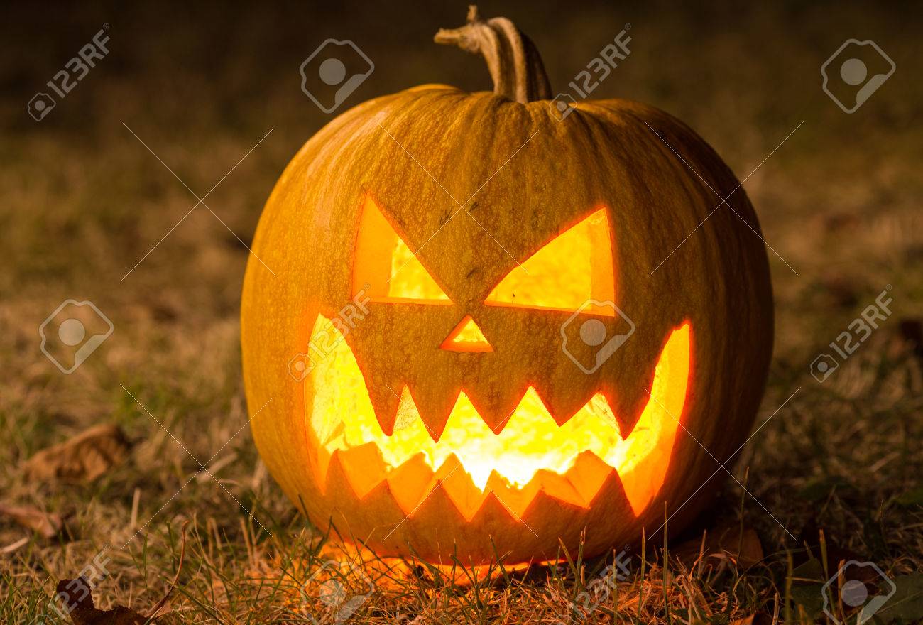 85 Off 綺麗な 30cm高25cm Www Arrisalah Net