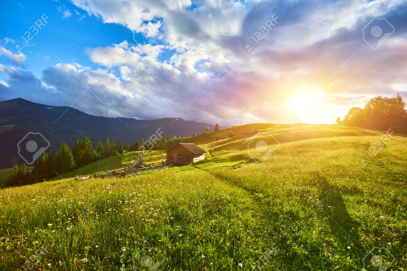 gorgeous foggy sunrise in Carpathian mountains. lovely summer landscape of Volovets district. purple flowers on grassy meadows and forested hill in fog. mountain Pikui in the distance. - 169020545 gorgeous foggy sunrise in Carpathian mountains. lovely summer landscape of Volovets district. purple flowers on grassy meadows and forested hill in fog. mountain Pikui in the distance. - 169020545