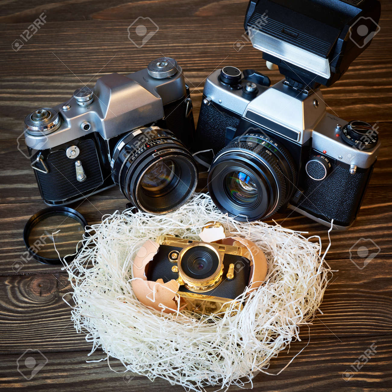 コンセプト大きな一眼レフ カメラと両親と巣に赤ちゃんとして小型 コンパクトな の写真素材 画像素材 Image