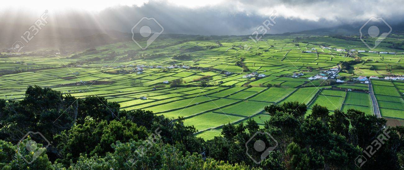 太陽とアゾレス諸島のテルセイラ島で農業分野 の写真素材 画像素材 Image