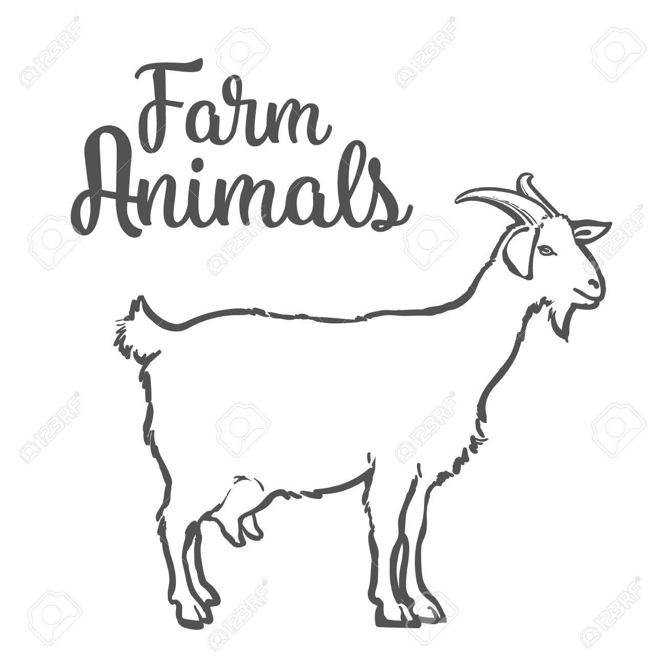 Goat Goat