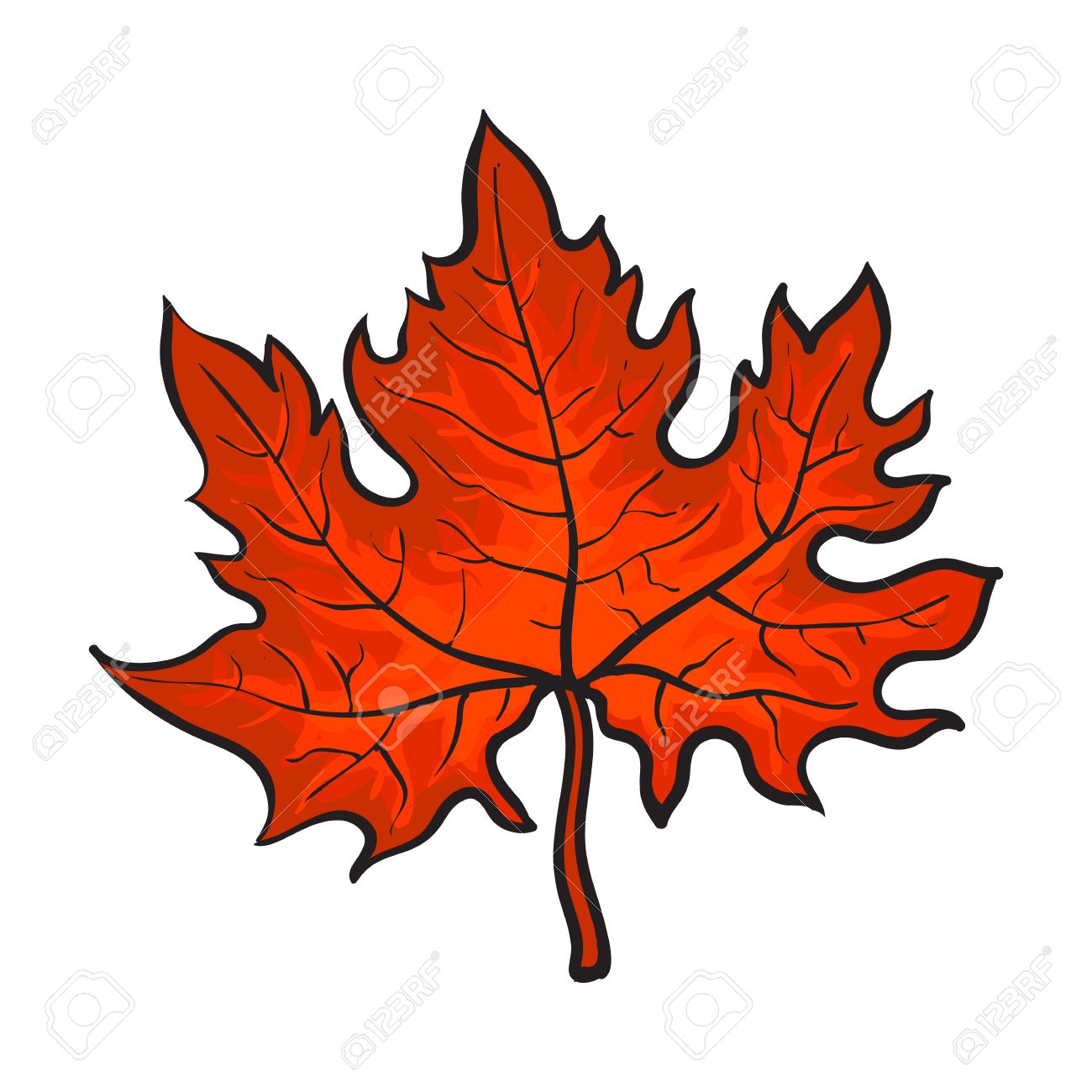 Laisser Belle Erable D Automne De Couleur Rouge Illustration Vectorielle Isole Sur Fond Blanc Dessin Botanique D Une Feuille D Erable Rouge Chute Saison Element Automne Decoration Clip Art Libres De Droits Vecteurs Et Laisser Belle Erable D Automne De Couleur Rouge Illustration Vectorielle Isole Sur Fond Blanc Dessin Botanique D Une Feuille D Erable Rouge Chute Saison Element Automne Decoration Clip Art Libres De Droits Vecteurs Et