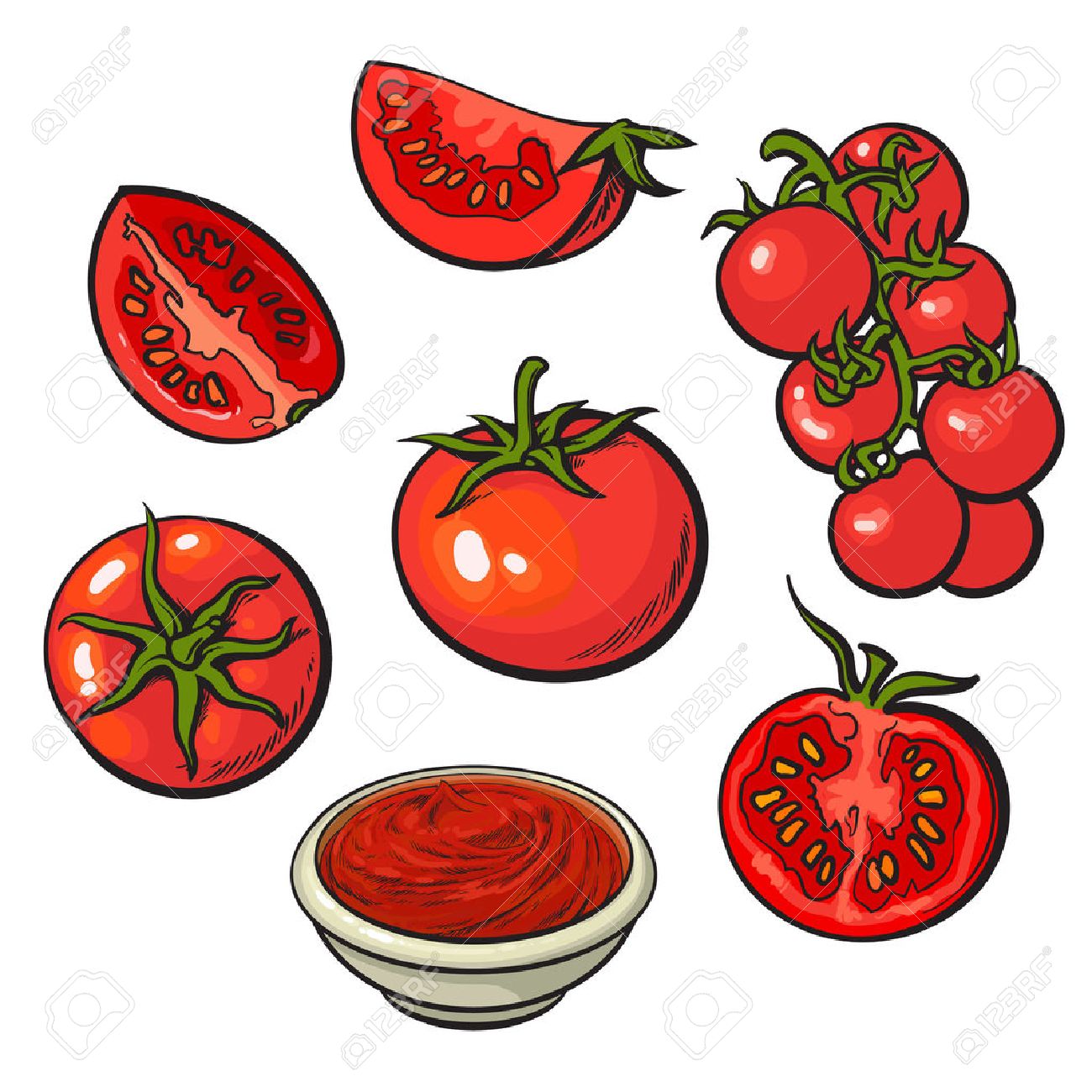 熟した赤いトマトの白い背景で隔離のスケッチ スタイル ベクトル イラストのセットです 全体 半分および四分の一のトマト トップと側面図 束チェリー トマトのトマトソースのボウルのイラスト素材 ベクタ Image