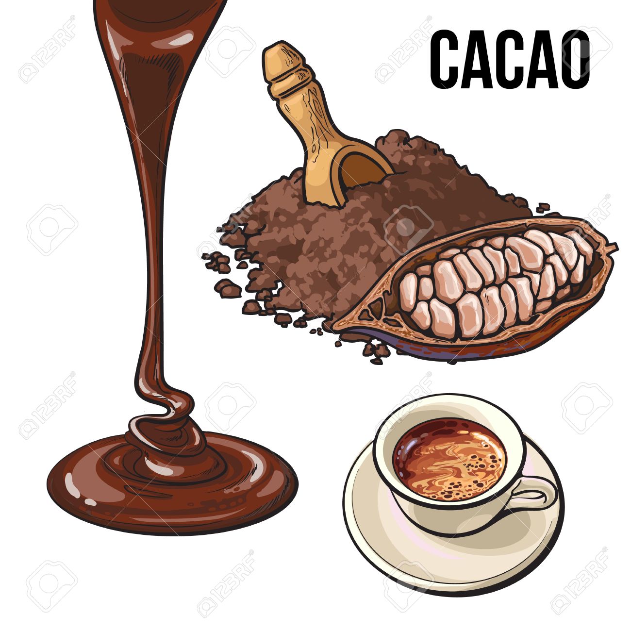 Download Pile Of Cocoa Powder Cacao Fruit Hot Chocolate Cup And Topping Royalty Free Cliparts Vectors And Stock Illustration Image 67895772
