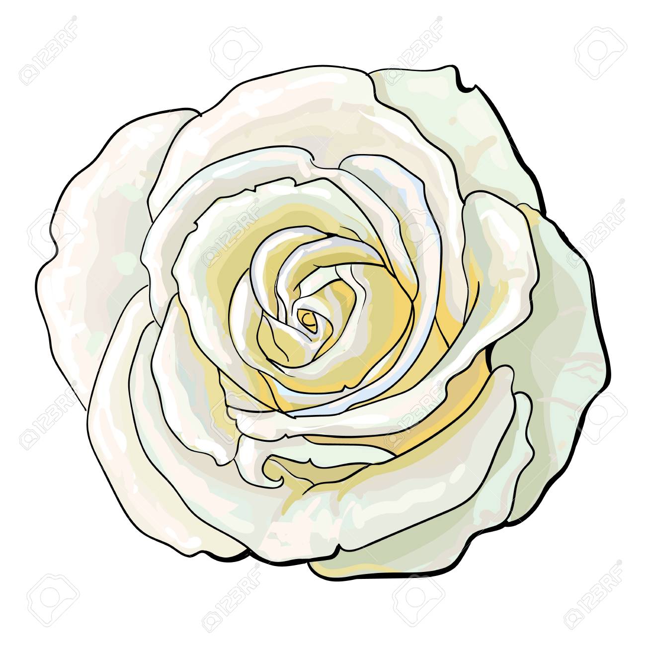 深い白薔薇のつぼみ 平面図スケッチ スタイル ベクトル イラスト白背景に分離します 現実的な手に開いた赤いバラの花 装飾要素の描画 のイラスト素材 ベクタ Image