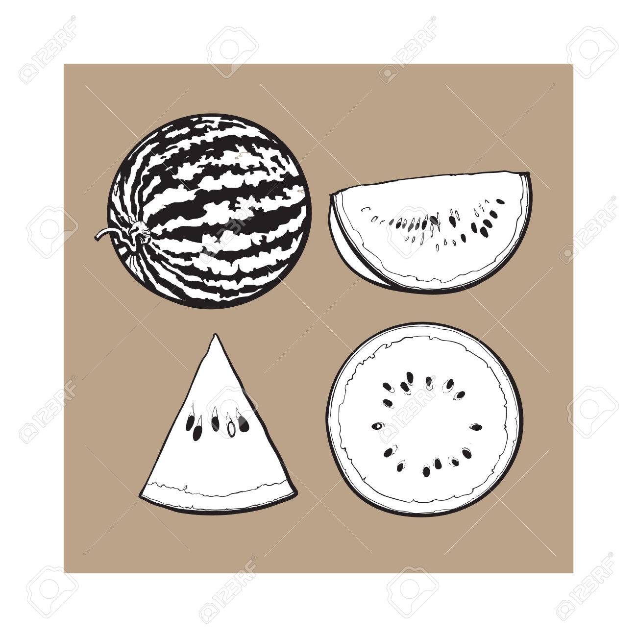 Black and white whole half quarter and slice of ripe watermelon