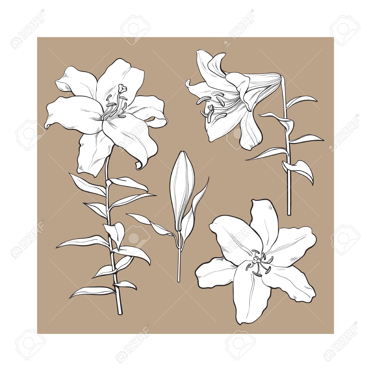 easter lily template