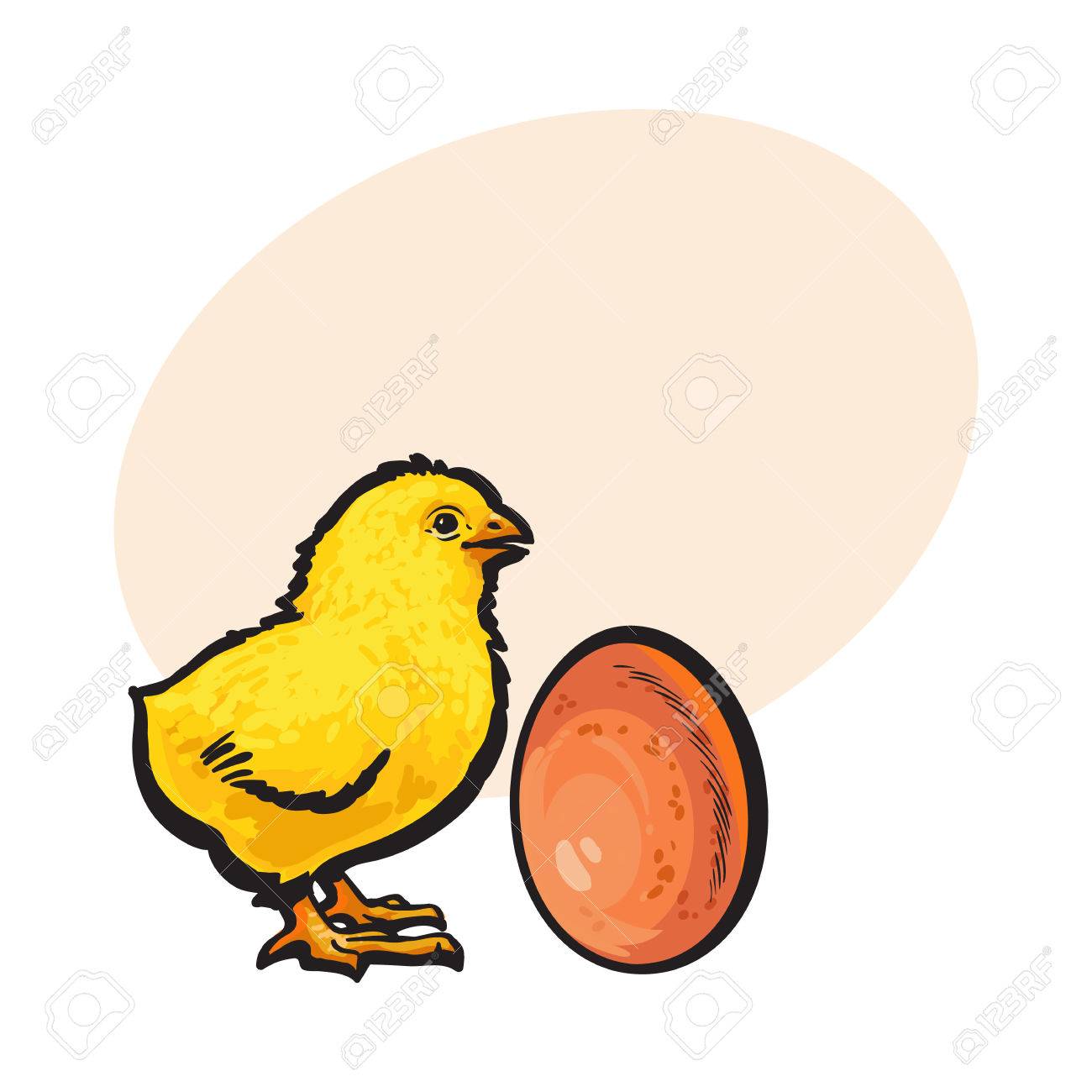 小さな新生児のチキンと全体に茶色の卵 スケッチ テキスト手描き 少し黄色のひよこと鶏の卵のスケッチ イラスト ベクトル イラスト のイラスト素材 ベクタ Image