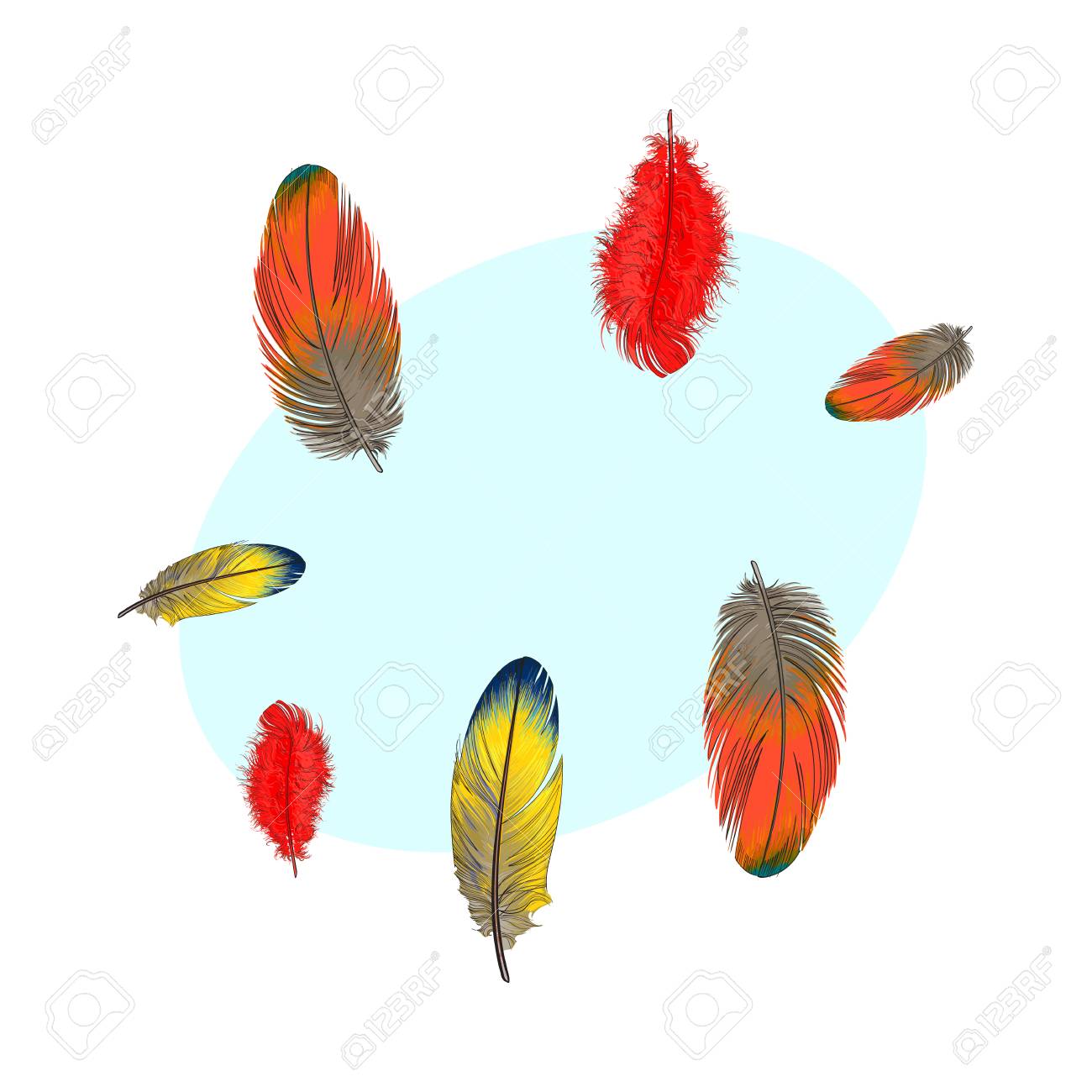 Ensemble De Mains Dessinées à La Main De Diverses Plumes Doiseaux Colorés Croquis Style Vector Illustration Avec Espace Pour Tex Dessin Réaliste De