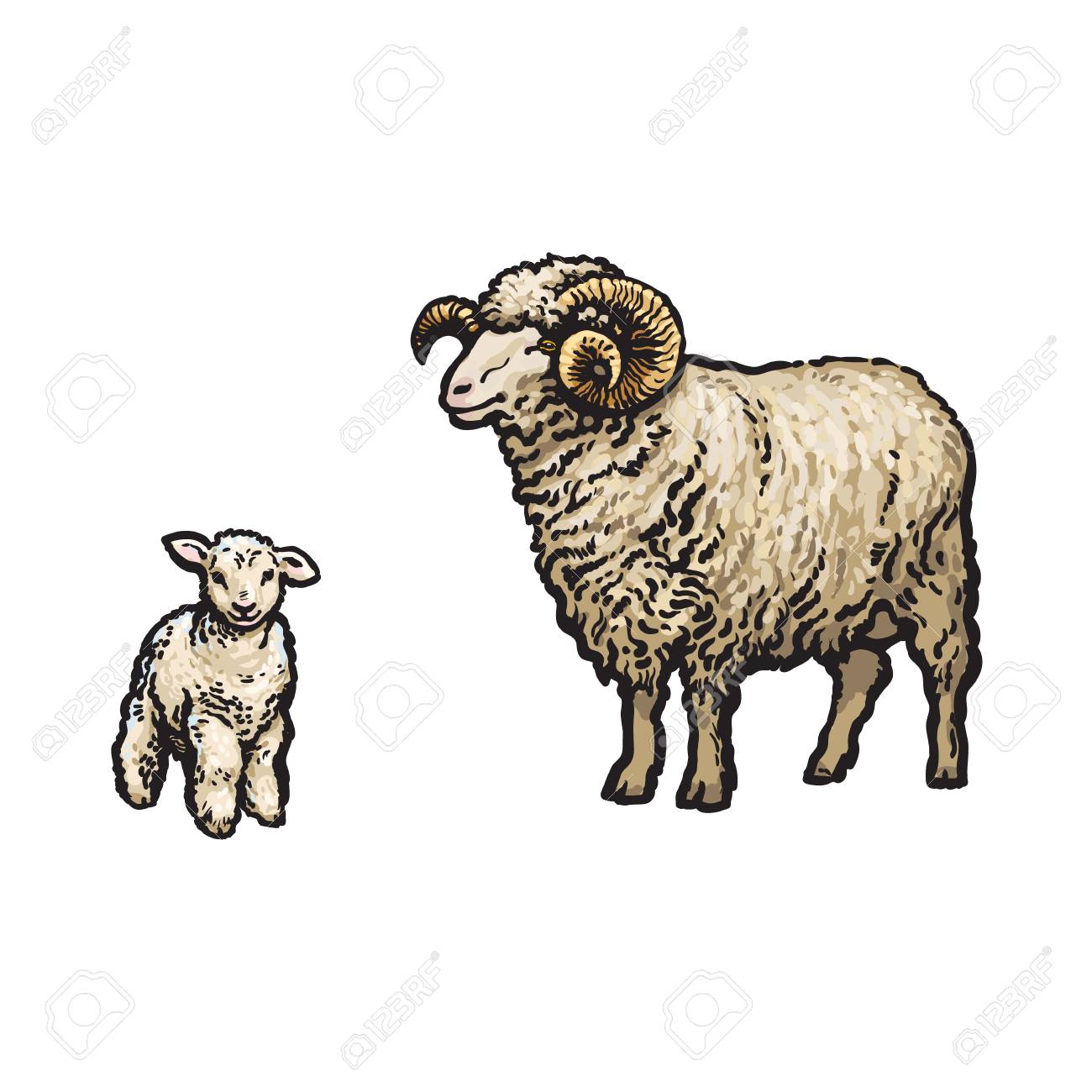 ベクター スケッチ漫画スタイル角のある Ram とラム 白い背景に分離の図 手描き下ろし動物大きなツイスト角を持つ 牛ファーム偶蹄類家畜動物 ウール製品デザインのイラスト素材 ベクタ Image