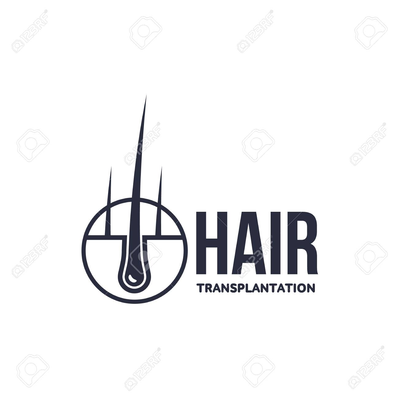 Haarfollikel In Der Haarzwiebel Mit Menschlicher Haut Dermis Unternehmen Fur Die Medizinische Blatttransplantation Markenikonenpiktogrammdesign Vector Die Flache Schattenbildillustration Die Auf Einem Weissen Hintergrund Lokalisiert Wird